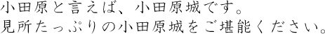 小田原の街の一部に残る歴史的な街並み。歴史を感じながらの散策をお楽しみいただけます。