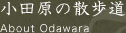 小田原について