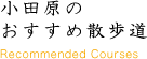 小田原おすすめコースのご紹介